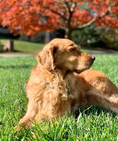 Paws Whiskers  Wags Your Pet Crematory's logo