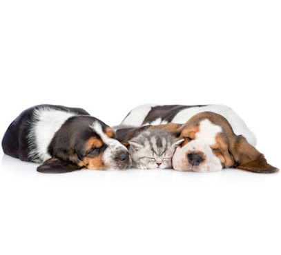 SafePassages Pet Cremation's logo