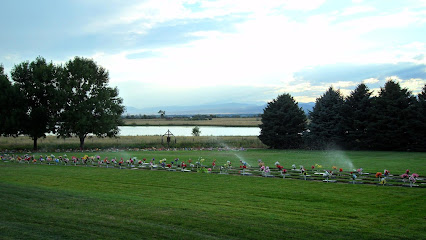 Precious Memories Pet Cemetery And Crematory Inc's logo